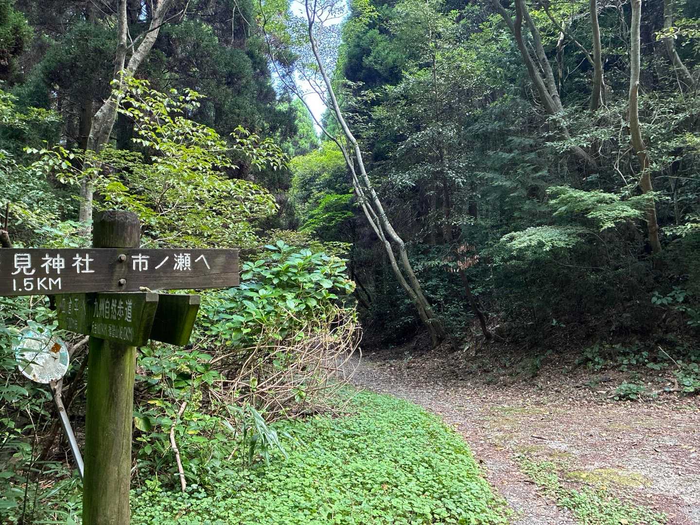 坊主跡　10分　
鷹見神社🅿️から49分⤴️