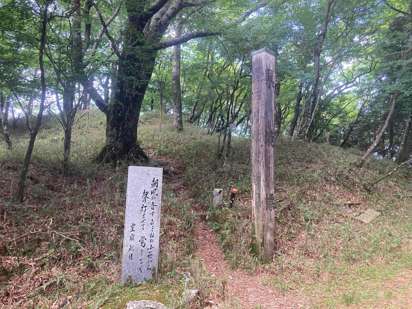 笹ヶ峰登山口-笹ヶ峰 往復コースの写真