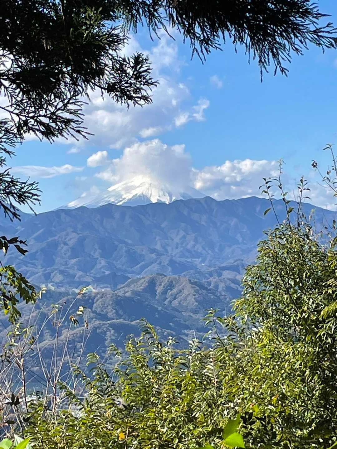 高尾山-城山(小仏城山) 縦走コースの写真