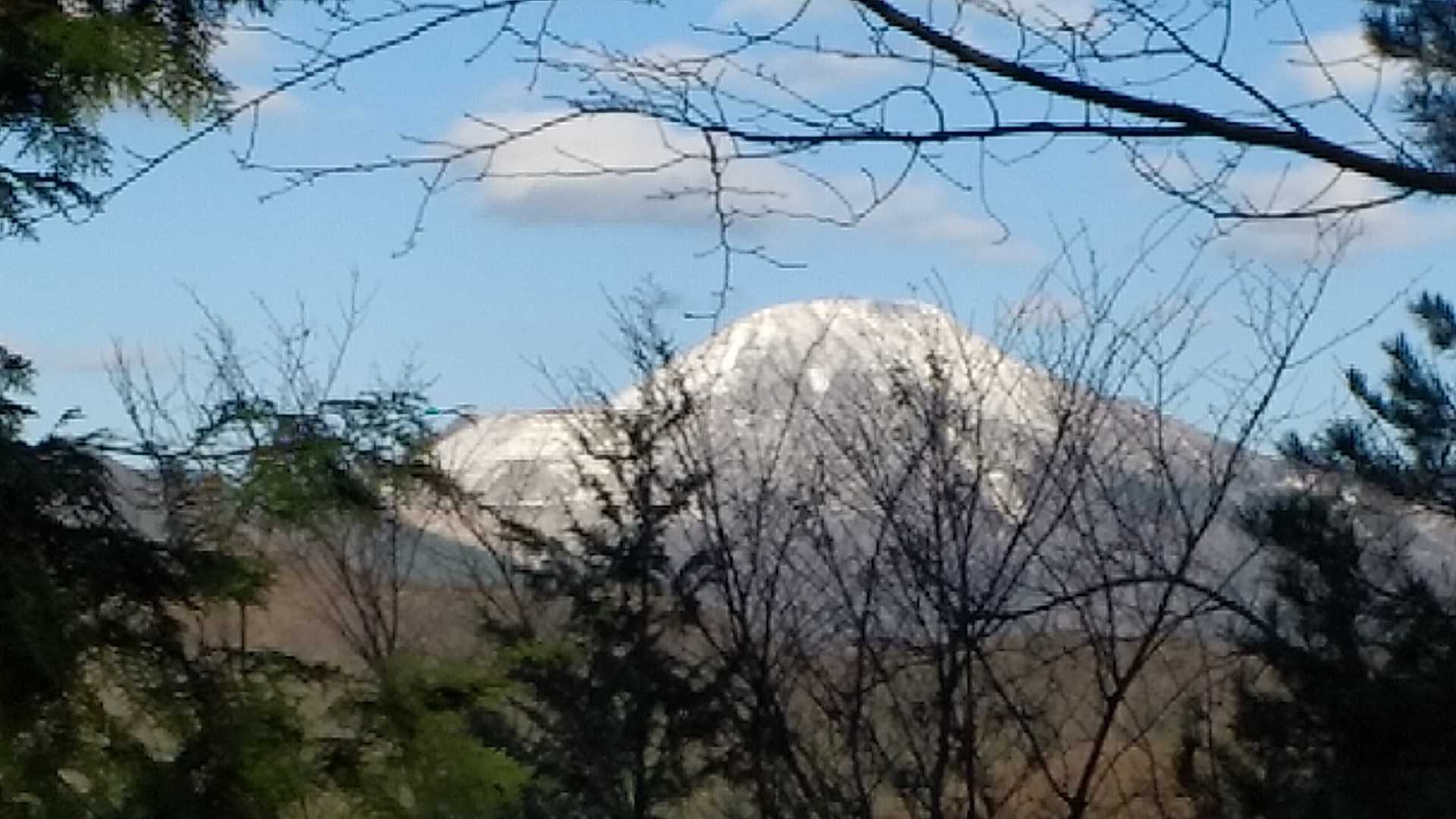 八条山山頂木間からの伊吹山