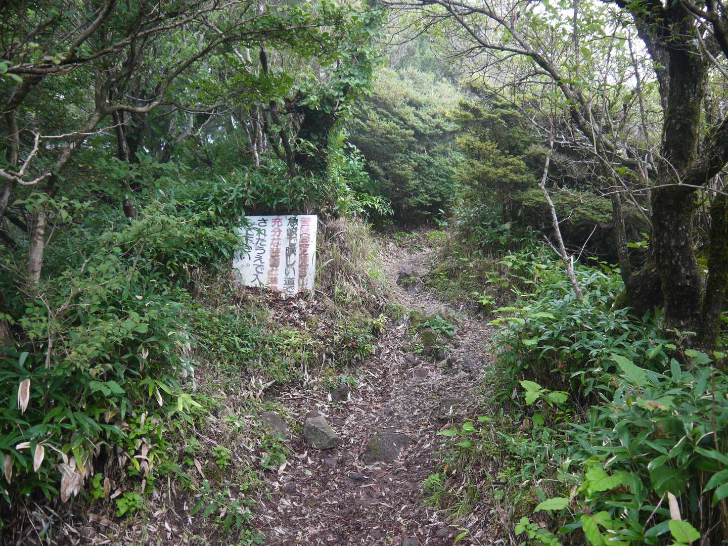ヤマキンさんにとっては久しぶりの登山なので、今日は国見岳はスルーして普賢岳を目指します。