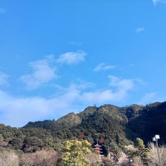 今日もありがとう金華山。