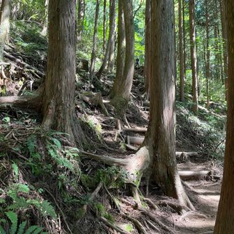 写真以上に急登でしたよ