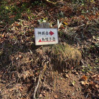 この少し前のロープ怖かったんだからーーー