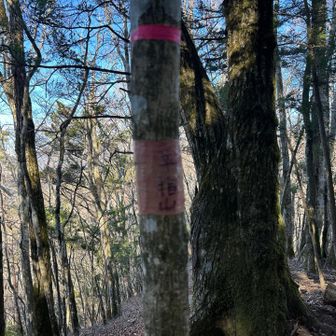 ん〜どうなんでしょ…