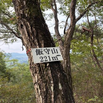 飯守山到着⛰️
なんか楽勝だなぁなんて思ってたら