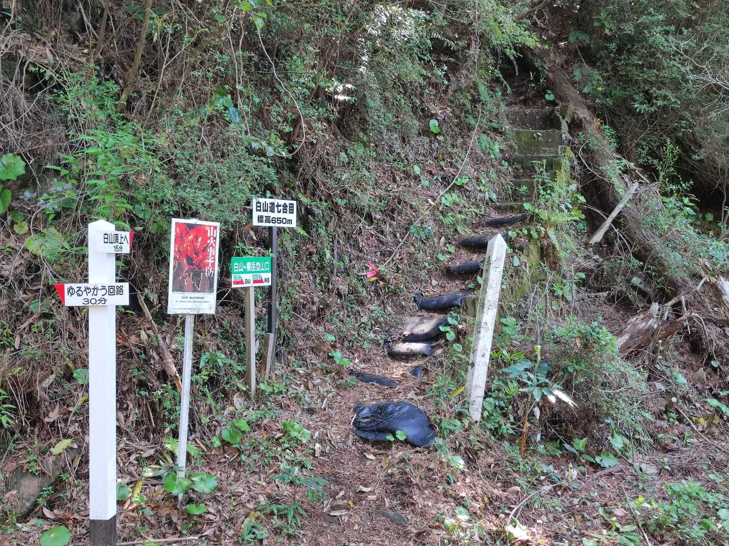7合目は林道を横切りまた山道へ。