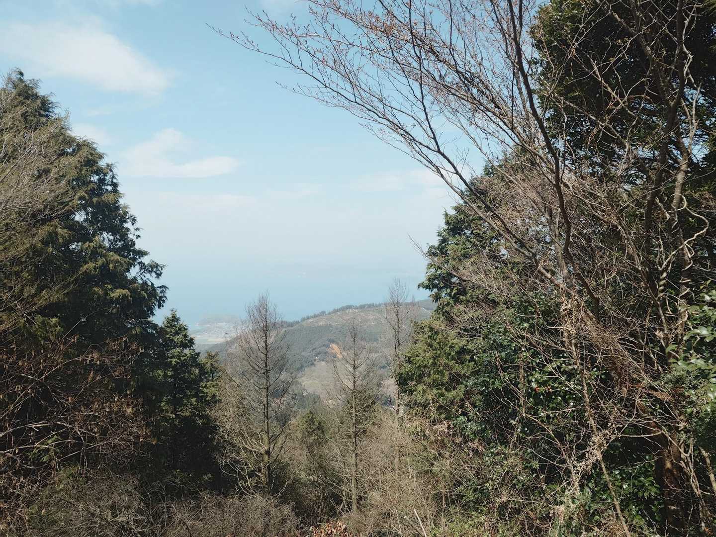 加茂ゆらりんこ橋登山口-加茂神社-真名子登山口-二丈岳-女 周回コースの写真