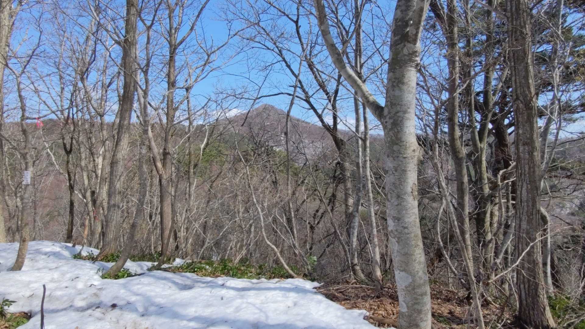 高森山山頂が見えます