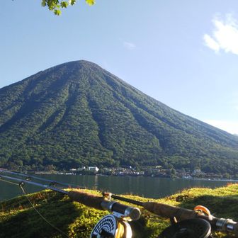 ユーザーbono vono