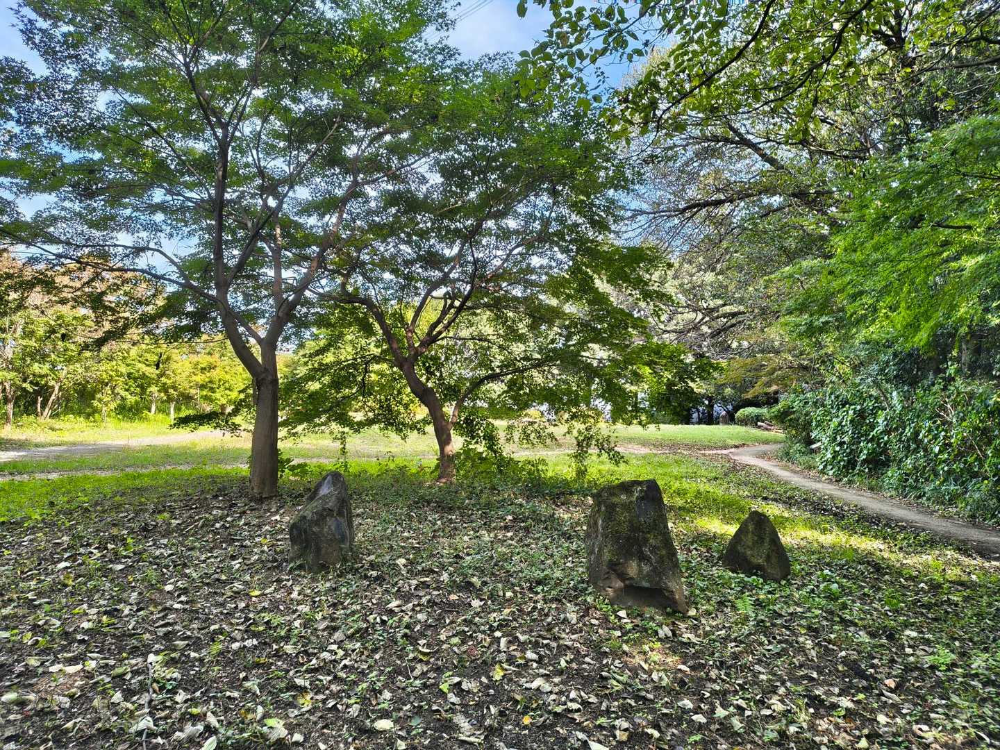 諏訪ヶ岳-古道五差路-よこやまの道 影取池伝説の碑-南大沢 縦走コースの写真