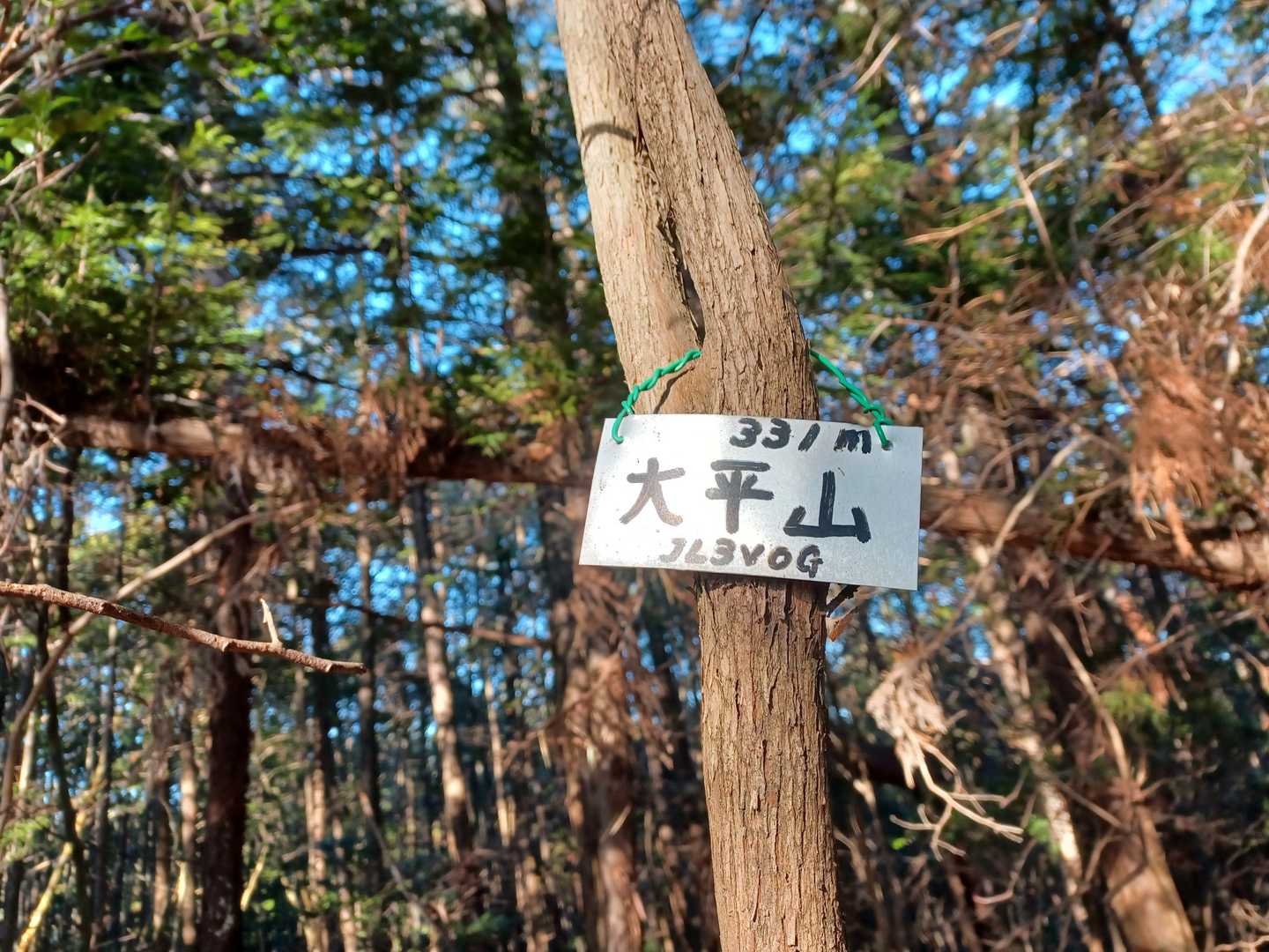 大平山（奈良県吉野郡吉野町）の写真