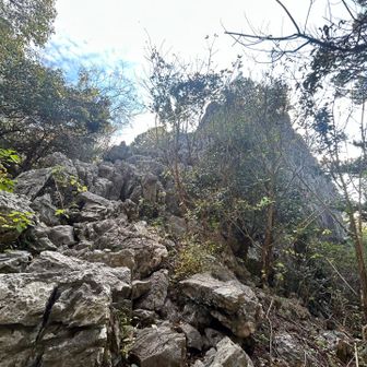 ここから岩山を登ります
