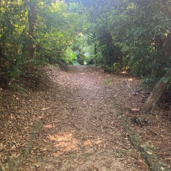 尾根伝いを歩けます