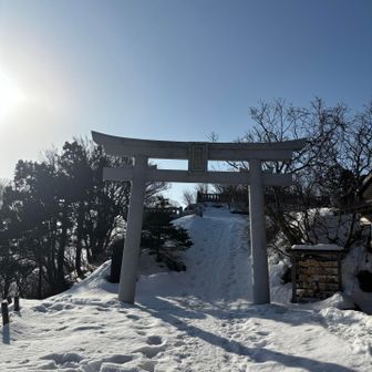 雪少ない
昨年の半分
