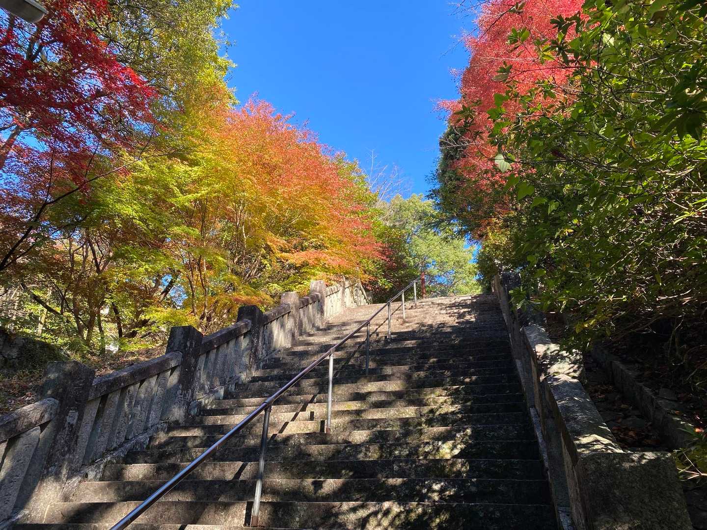 登山口駅-箸蔵寺-箸蔵寺駅 往復コースの写真