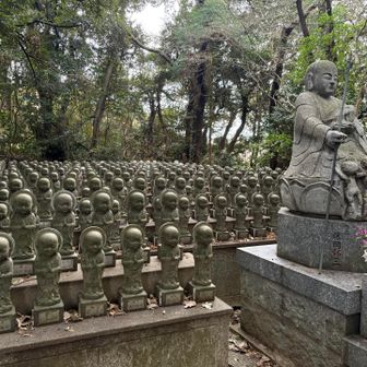 歩きながら今年を振り返って見ると…