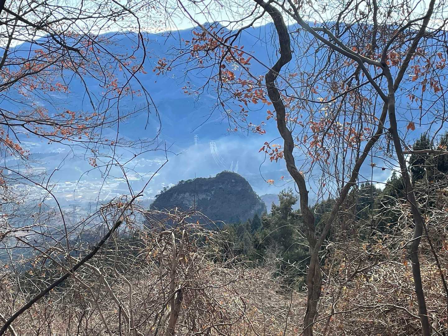 途中、鍬柄岳見えました✨