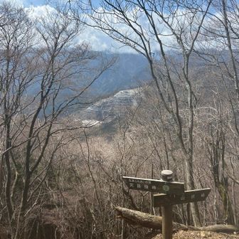 飯能はセメントの産地。きれいに段々になったお山です。