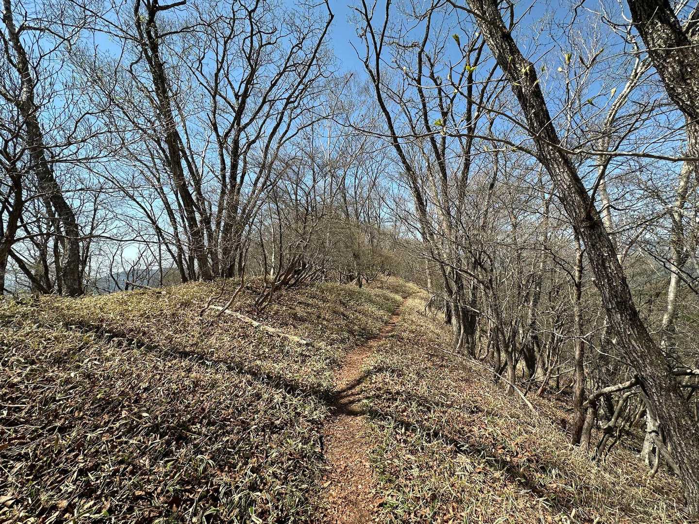今度は地蔵岳へGO▶️
