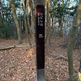 ここの表札は立派