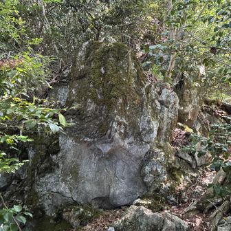 
巨石 現る
岩質 が 石灰岩，チャート混じり です
右 に 巻きました
