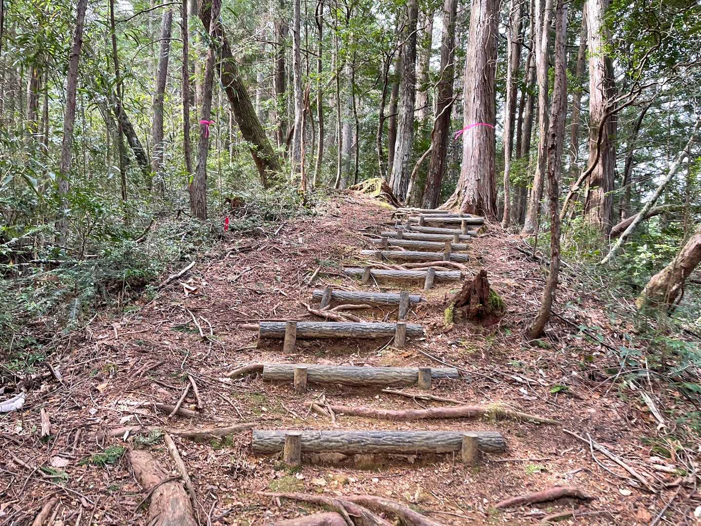 登ります。