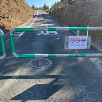 ゲートを飛び越えて（嘘です）スタート