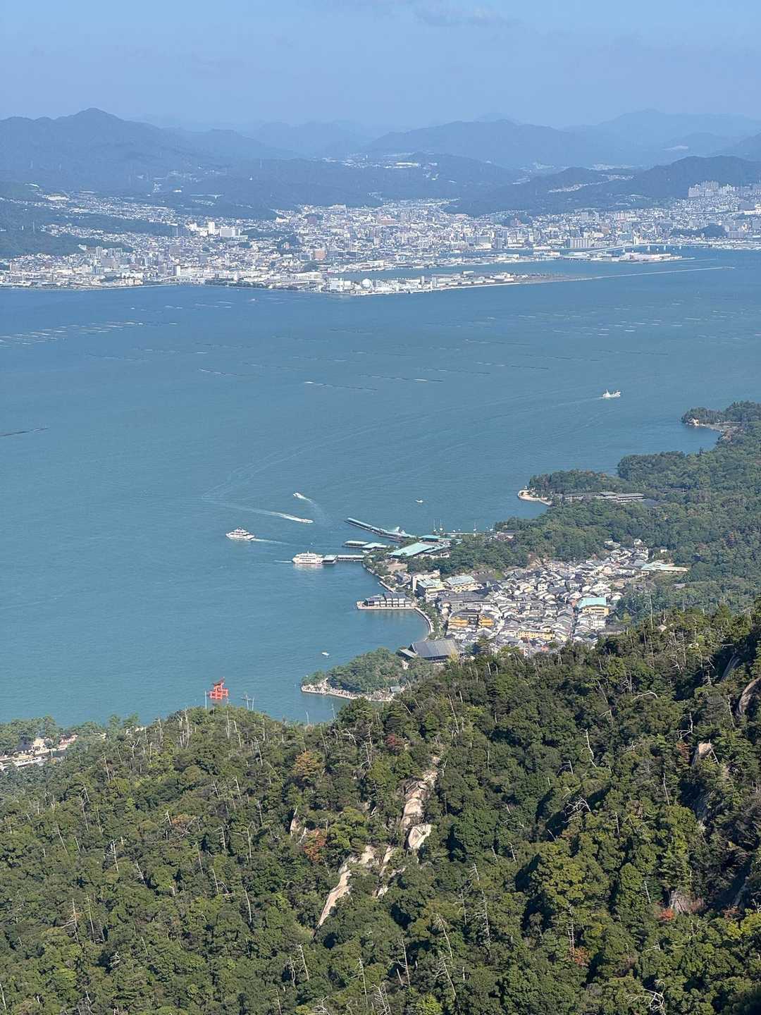 鳥居も見えます