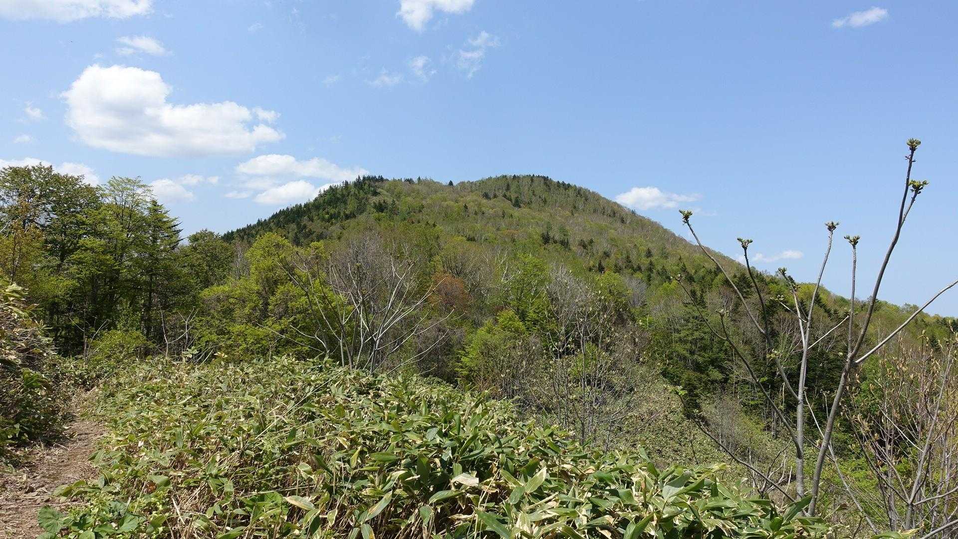 富士に見えない藤野富士