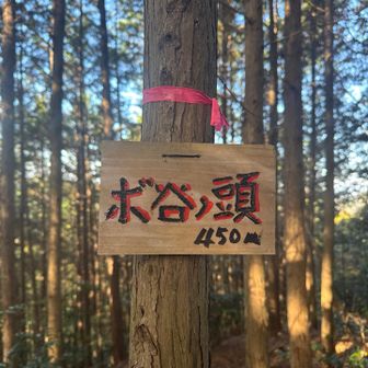 ダイトレから外れてボ谷ノ頭⛰️
