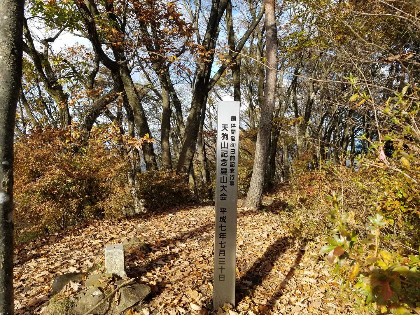 天狗山 周回コースの写真