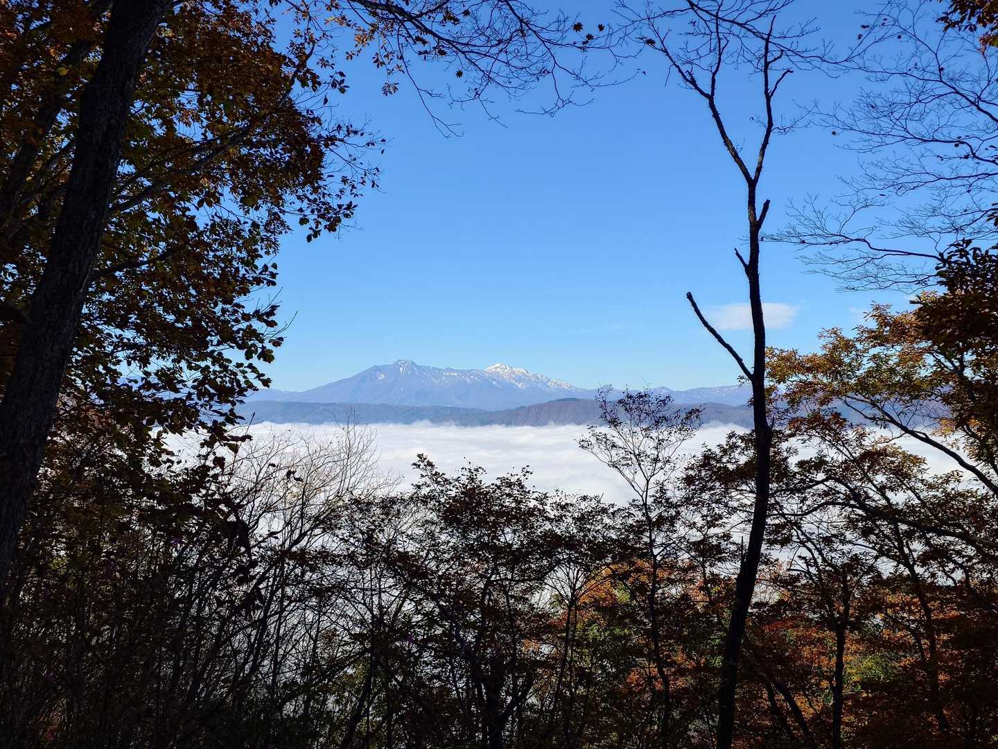 小菅神社-小菅山 周回コースの写真