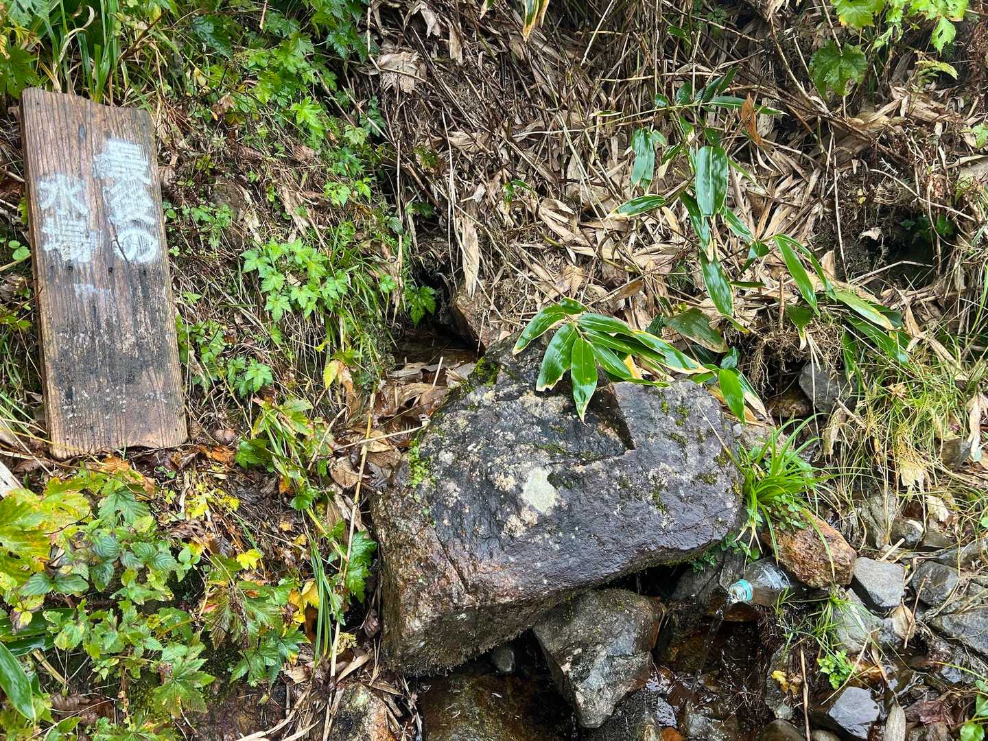 蓬新道を下山

蓬新道の最終水場

稜線からはまぁまぁ降りますが、
馬蹄形で水が無くなった場合は
ここで給水する感じのようですね。