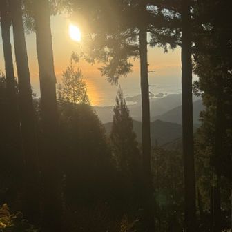 海見えた‼️
だいぶ来た感じする