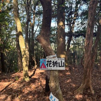 そんなに上下せずに花折山到着です。
