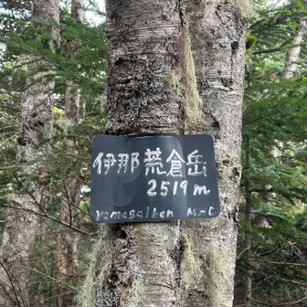 荒倉岳。

ずっと急登とアップダウンの連続💦