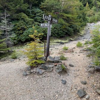 野天風呂と硫黄岳の分岐。ここから硫黄岳方面へは初めてのルートです。前回硫黄岳に登ったのはオーレン小屋側からでした。