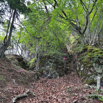 ほぼ岩🪨の周りを登るかんじ