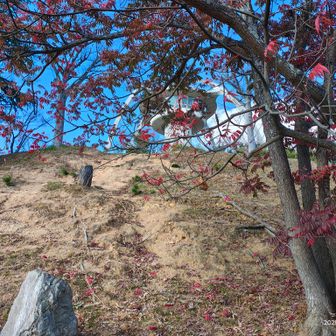 漆坂54、下からだとここの漆の紅葉も全然分からない💦