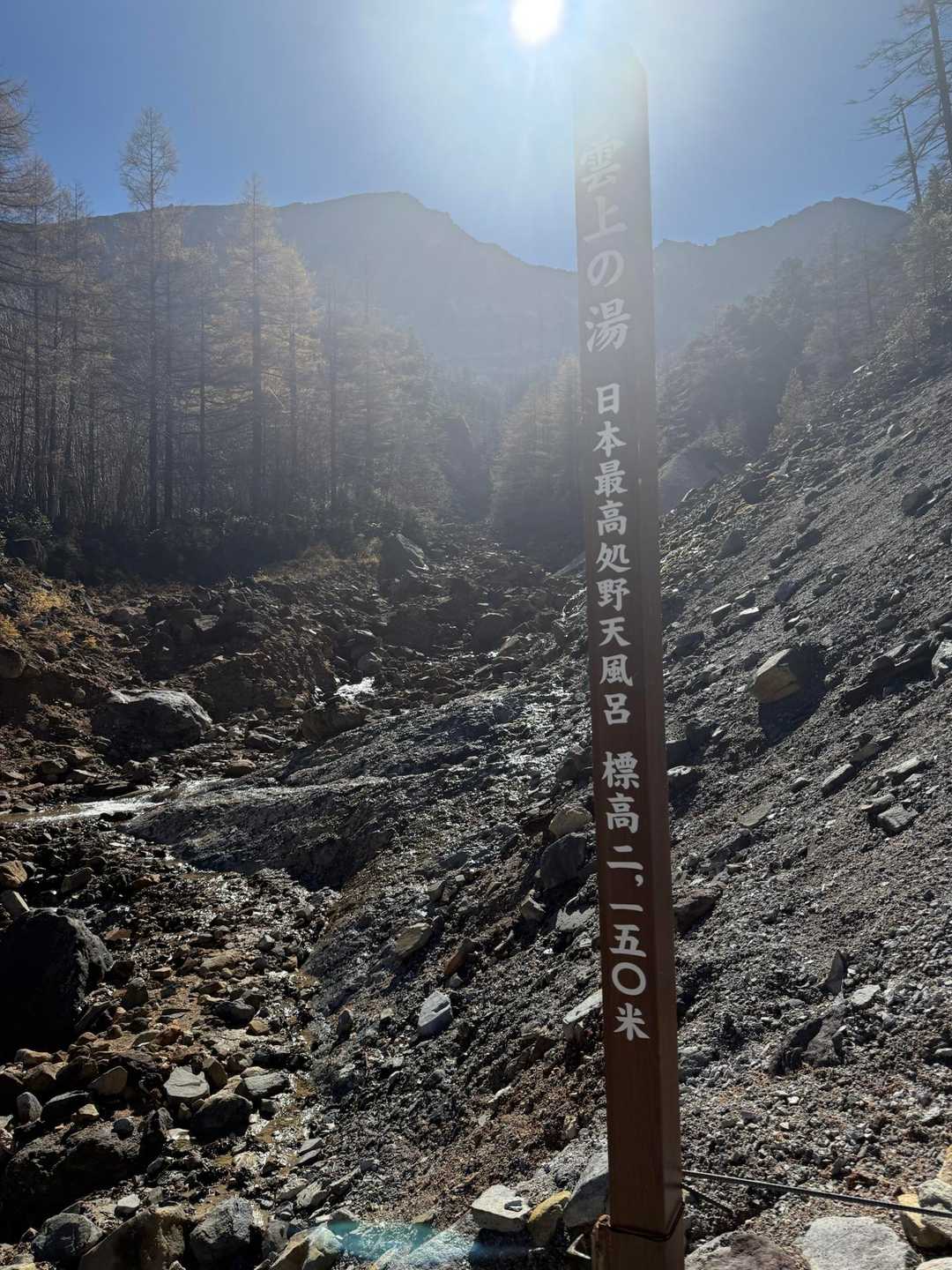 本沢入口-夏沢峠 往復コースの写真