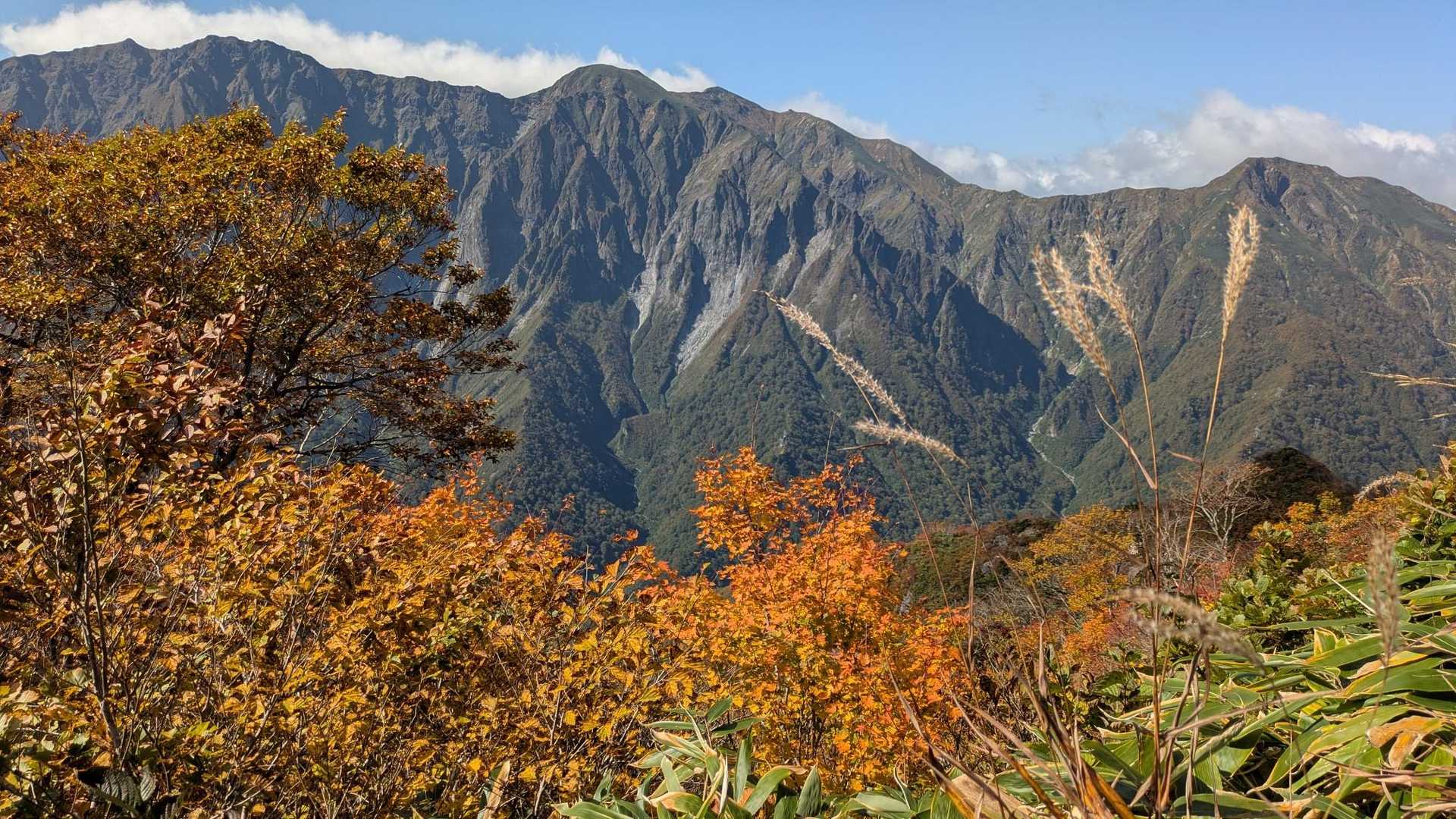 紅葉🍁と
谷川岳さん。
名峰に相応しい絶景🍁