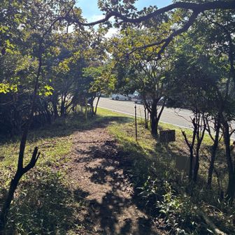 🚙見えたよ