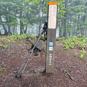 櫛形山
今日に目指した山の山頂らしいです。