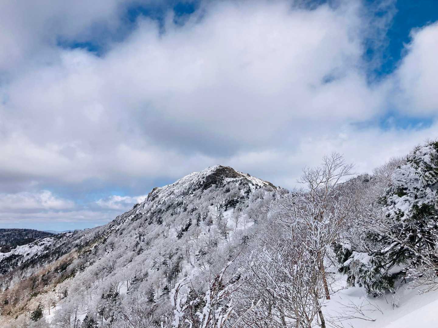 鶏頭山✨