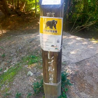 京都一周トレイルに合流