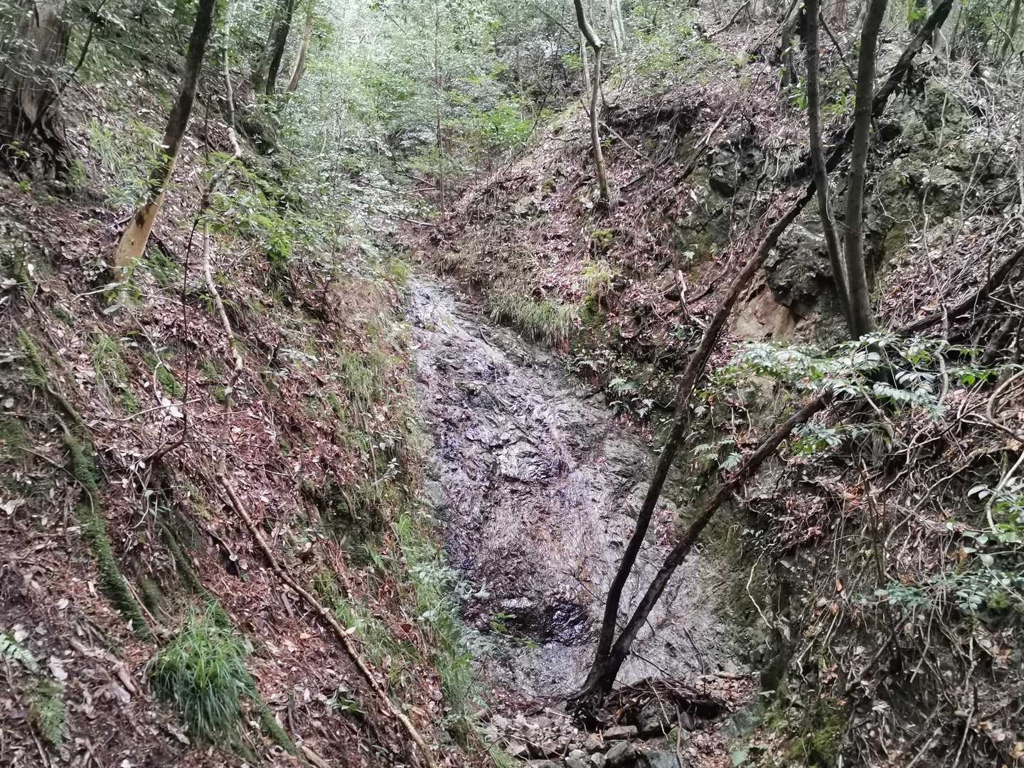 滝っぽいのも沢山ありました✨