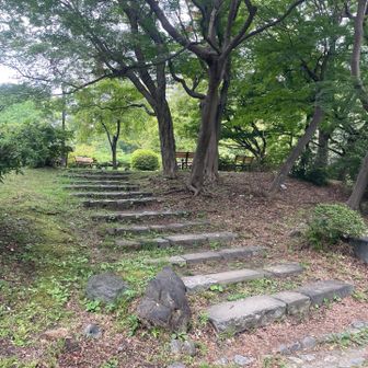つつじ山