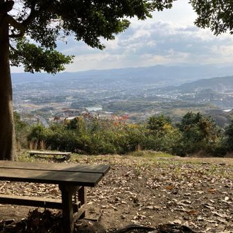 今日の見通しはよくない。