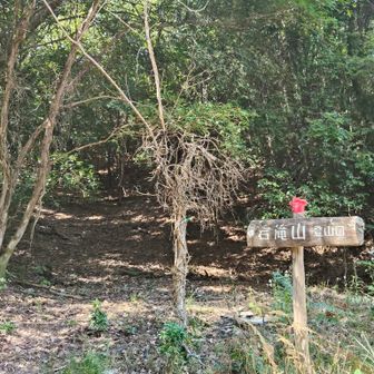 岩滝山登山口から再び入山